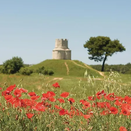 Gorgeous Apartment In Dracevac Ninski Dracevac Ninski